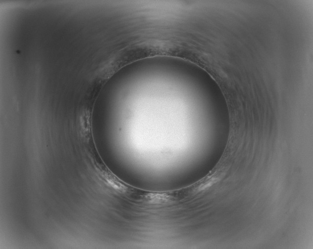 X0000073440528200608041119
