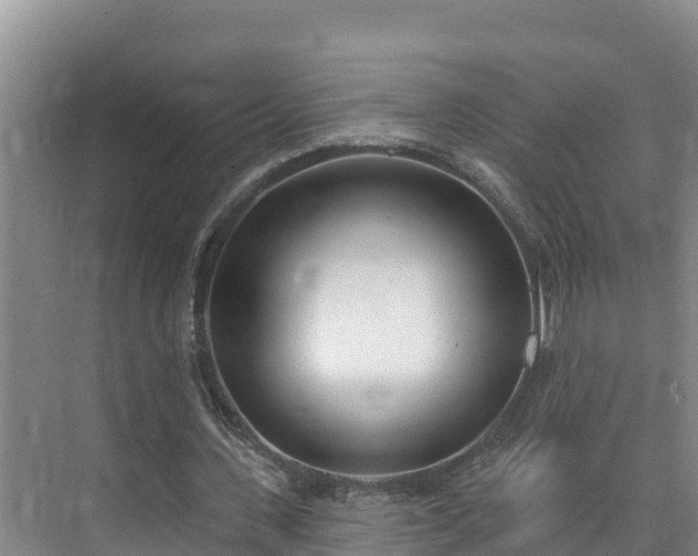 X0000073440531200608041118