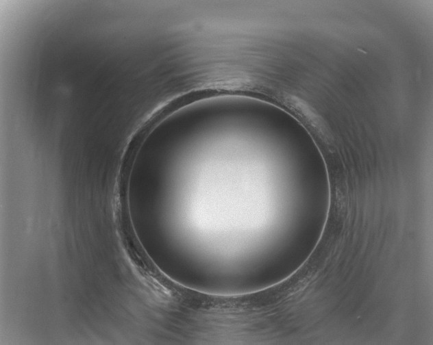 X0000073440532200608041118