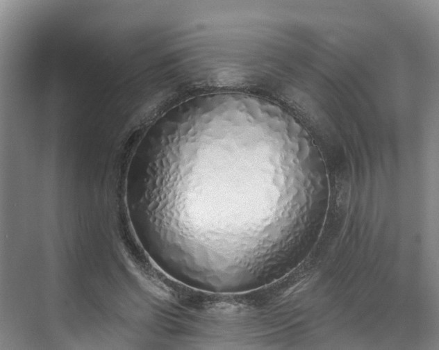 X0000073440542200608041119