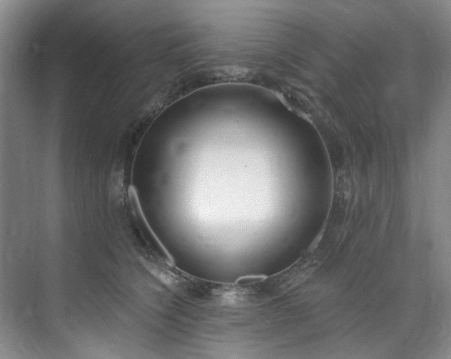 X0000073440564200608041119
