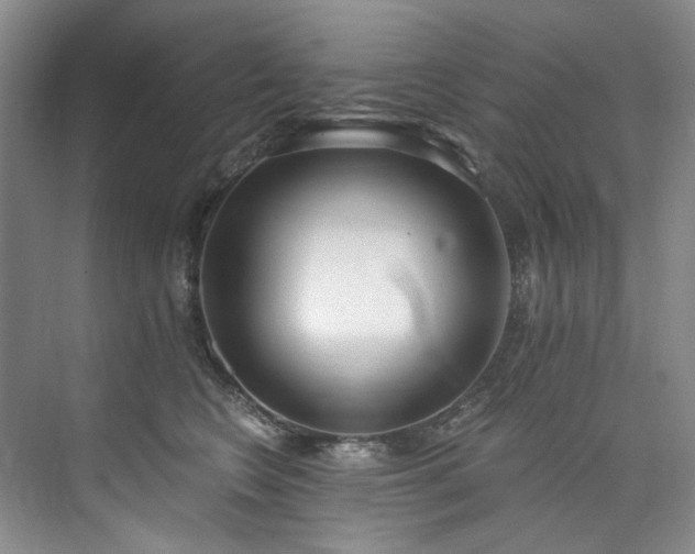 X0000073440566200608041119