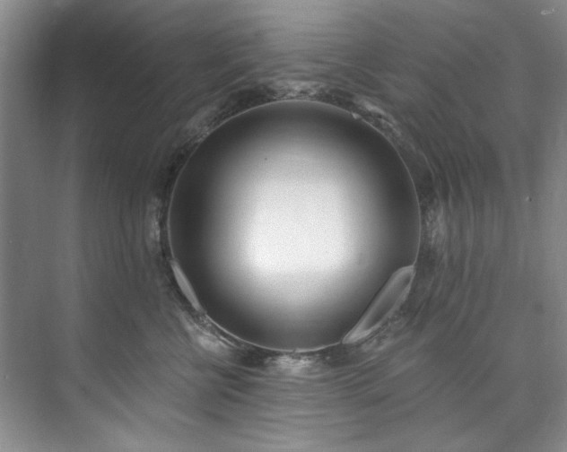X0000073440570200608041119