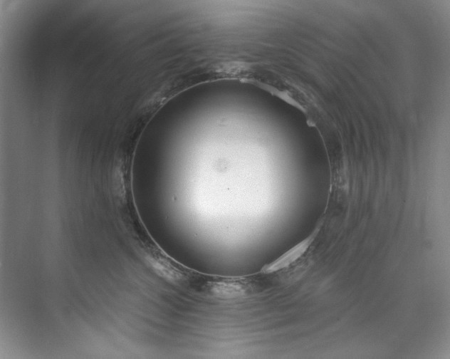 X0000073440572200608041119