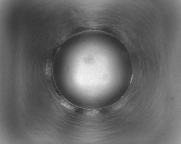 X0000073440576200608041119