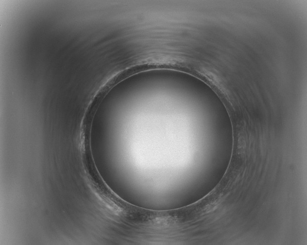 X0000073440584200608041118