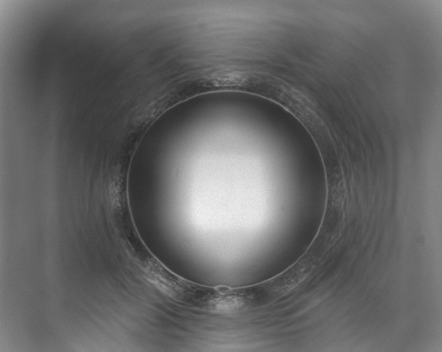 X0000073440604200608041118