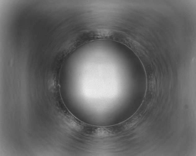 X0000073440608200608041118