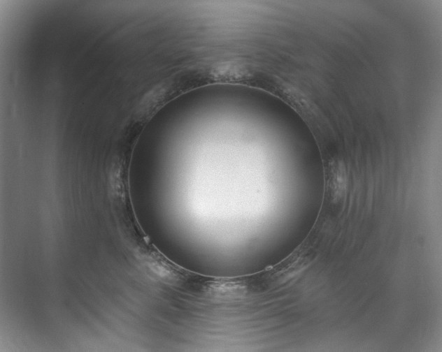 X0000073440619200608041118