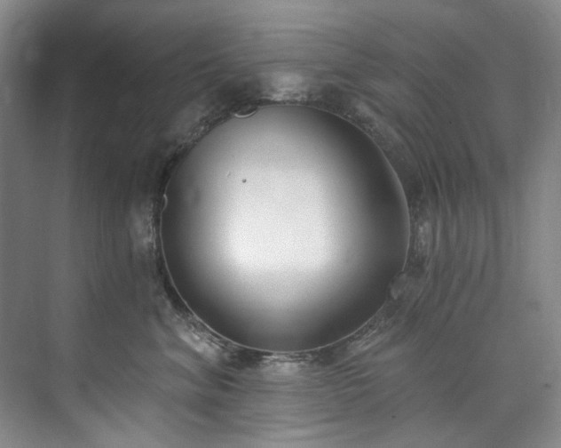 X0000073440620200608041118