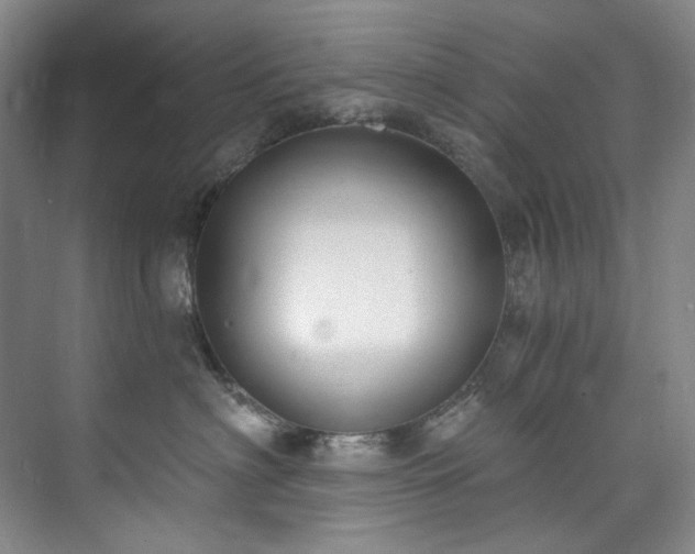 X0000073440622200608041118