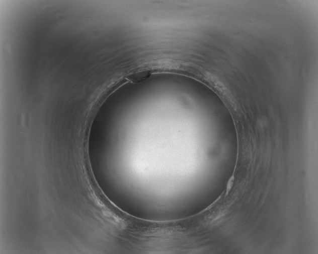 X0000073440625200608041117