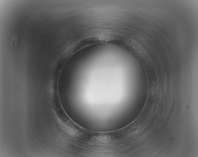 X0000073440639200608041117