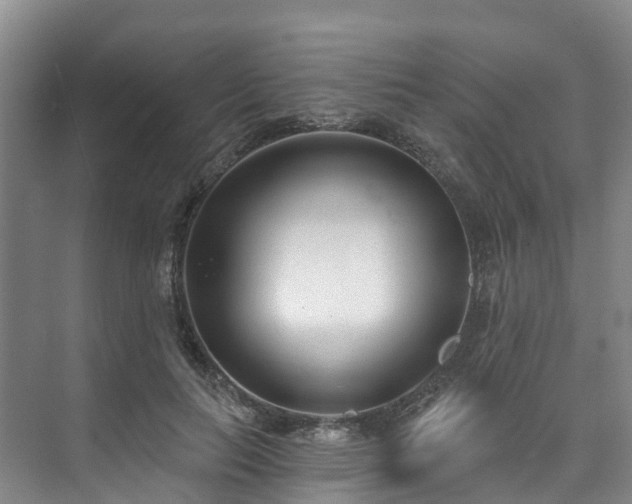 X0000073440647200608041117