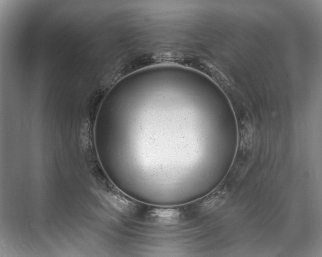 X0000073440659200608041117