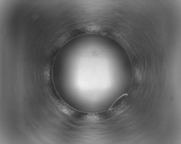 X0000073440668200608041117