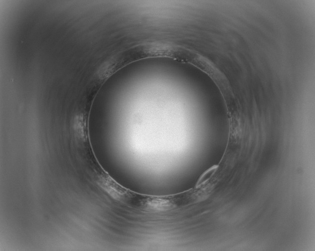 X0000073440669200608041117
