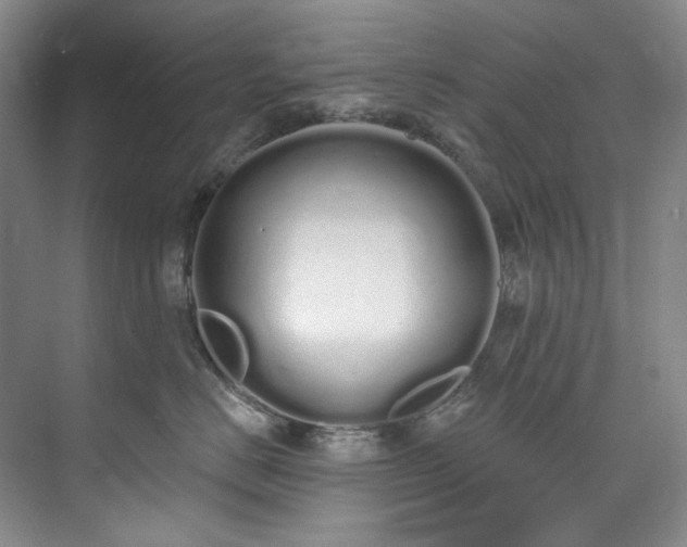 X0000073440670200608041117
