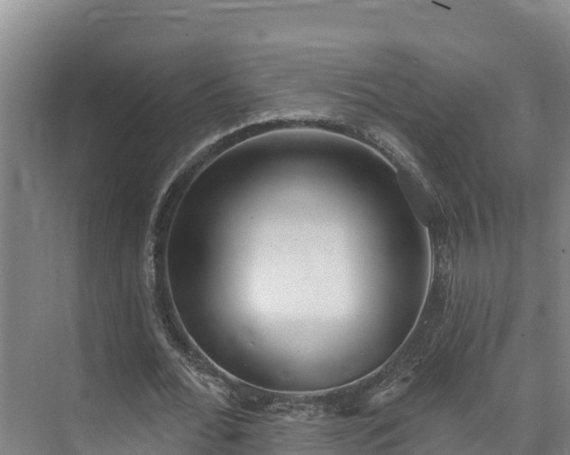 X0000073440676200608041117
