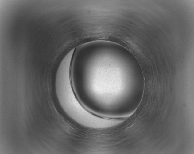 X0000073440693200608041116