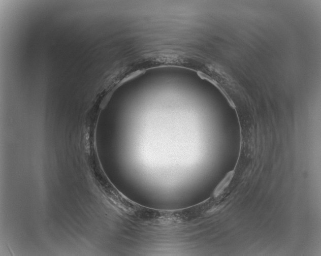 X0000073440696200608041116