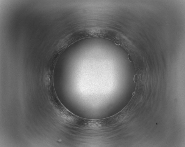X0000073440702200608041116