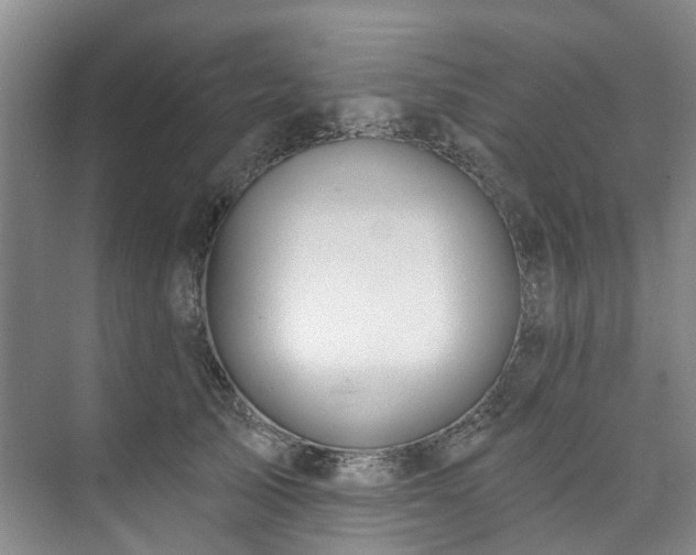 X0000073440705200608041116