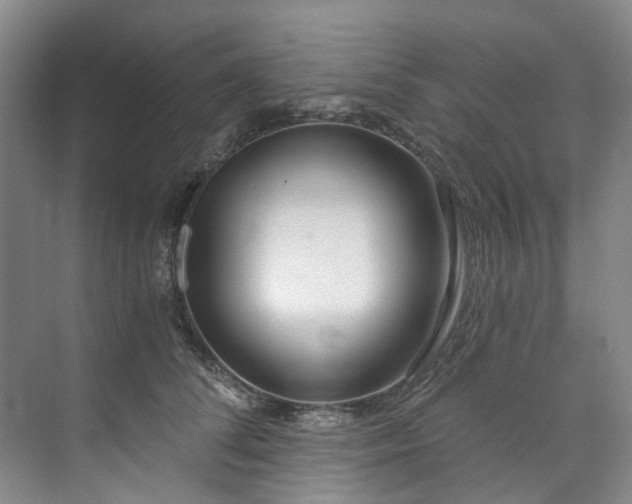X0000073440708200608041116
