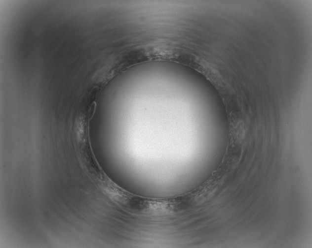 X0000073440709200608041116