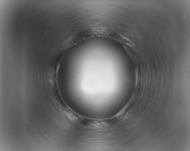 X0000073440712200608041116