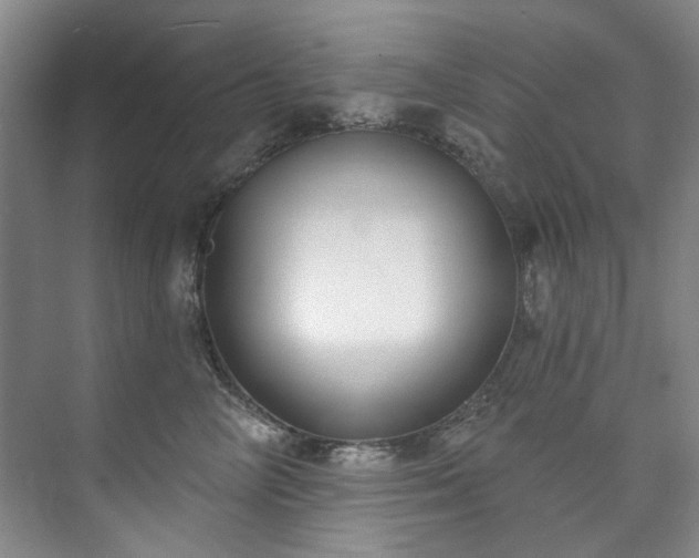 X0000073440714200608041116