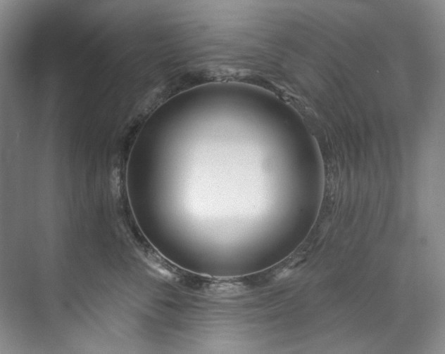 X0000073440716200608041116