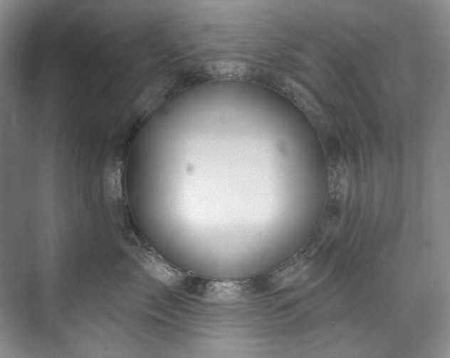 X0000073440717200608041116