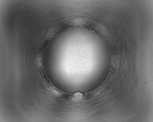 X0000073440718200608041116