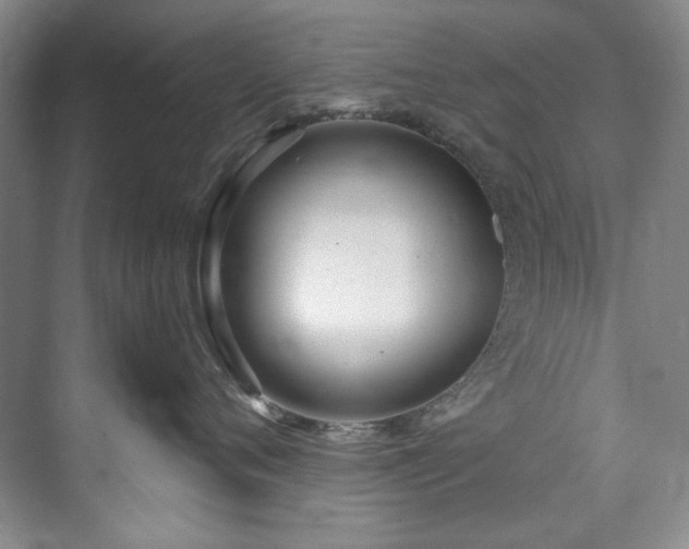X0000073440720200608041116