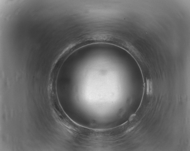 X0000073440723200608041115