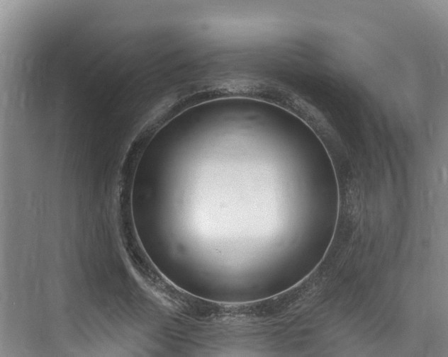X0000073440730200608041115