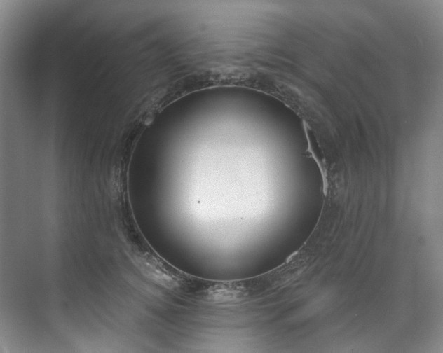 X0000073440756200608041116