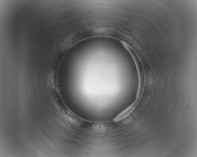 X0000073440764200608041116