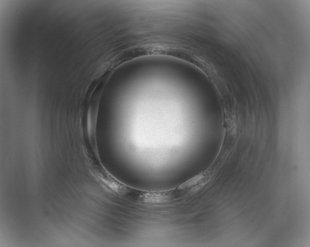 X0000073440766200608041116