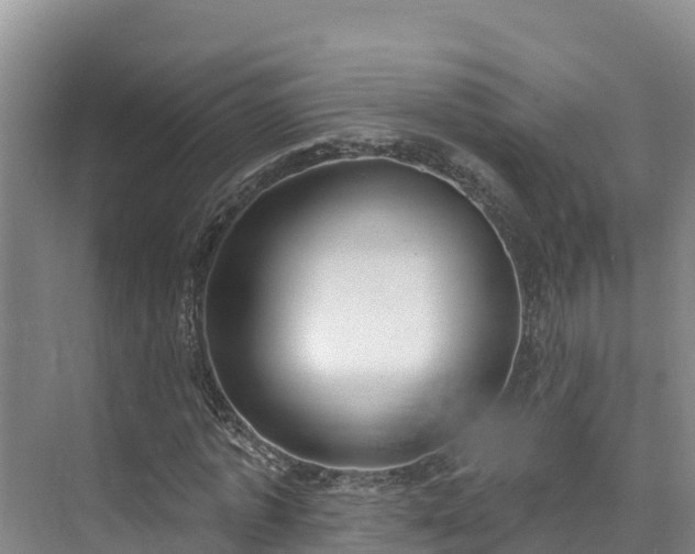 X0000073440773200608041115