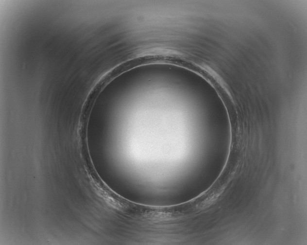 X0000073440783200608041115