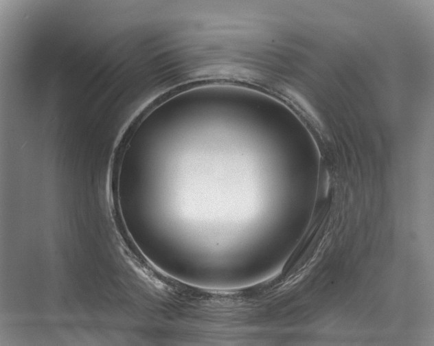 X0000073440788200608041115