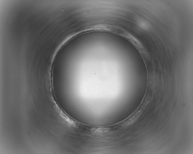 X0000073440808200608041114