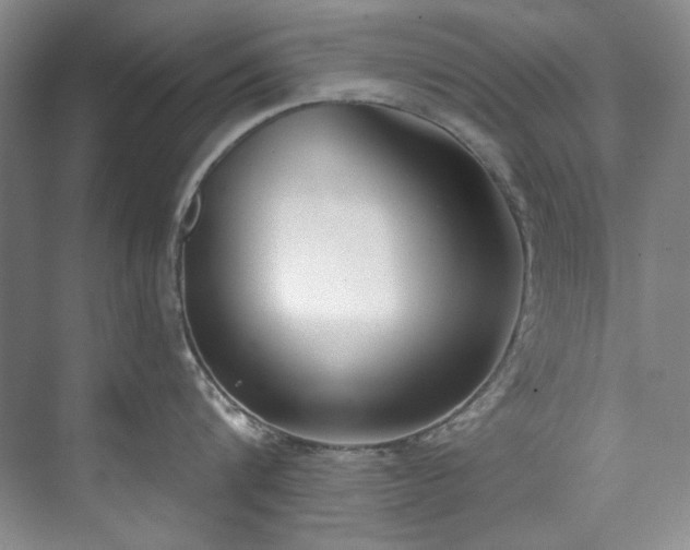 X0000073440816200608041114