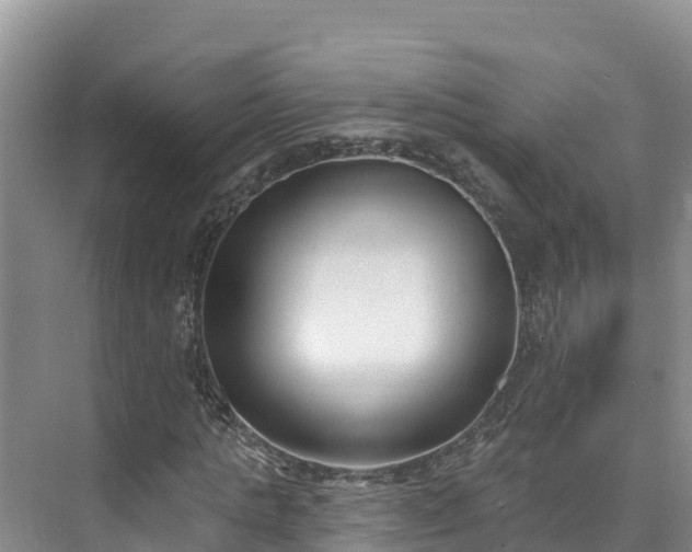 X0000073440821200608041114