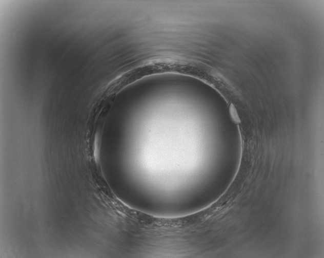 X0000073440822200608041114