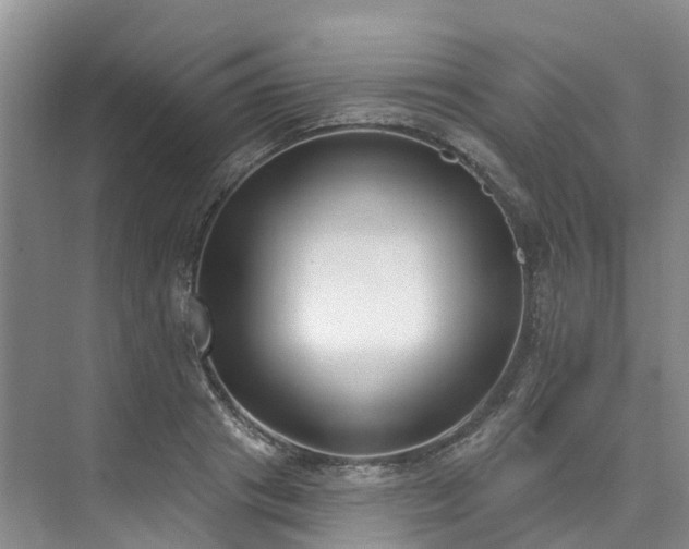 X0000073440841200608041114