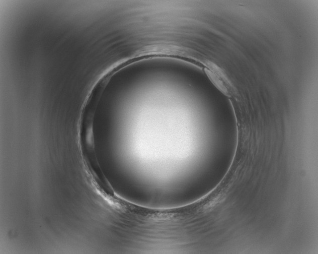 X0000073440846200608041114
