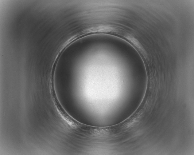 X0000073440850200608041114
